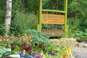 Alaska Botanical Garden's Artist In Residence