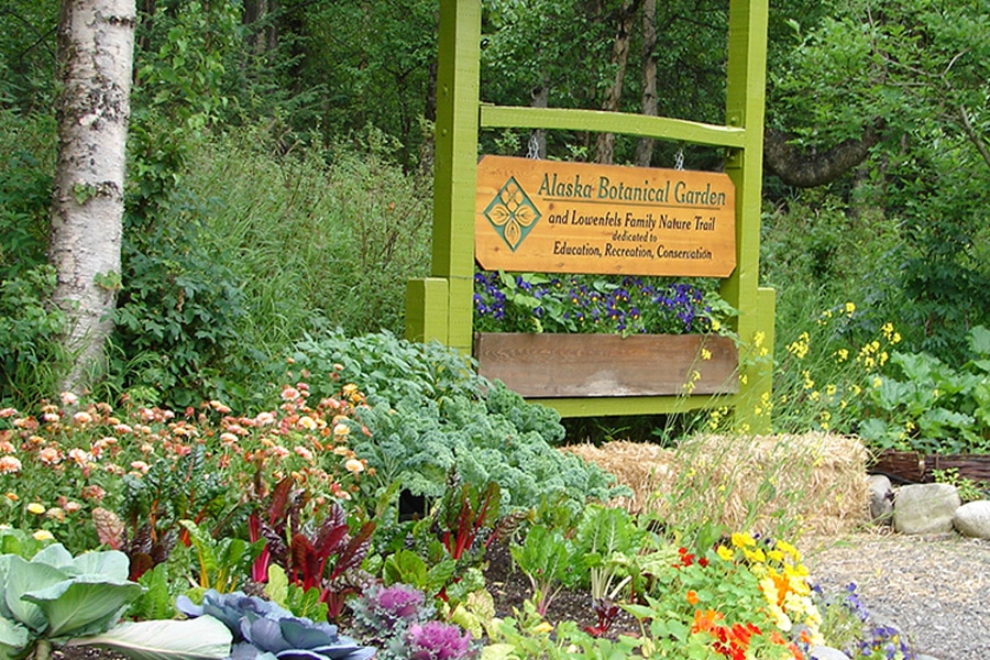Alaska Botanical Garden's Artist In Residence